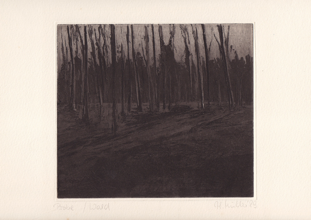 Müller_hm020_wald