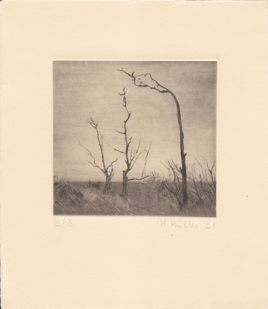 Müller_hm112_oT-drei-baeume