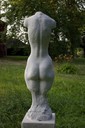 KuhleW_wk11_aufrechter-weiblicher-torso-hinten